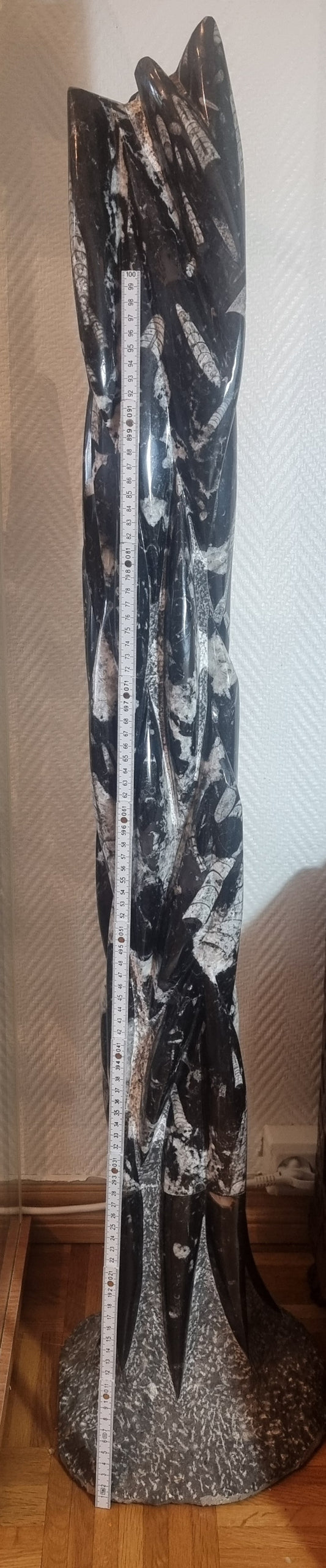Orthoceras-søyle 116 cm – bilde 2 av 4