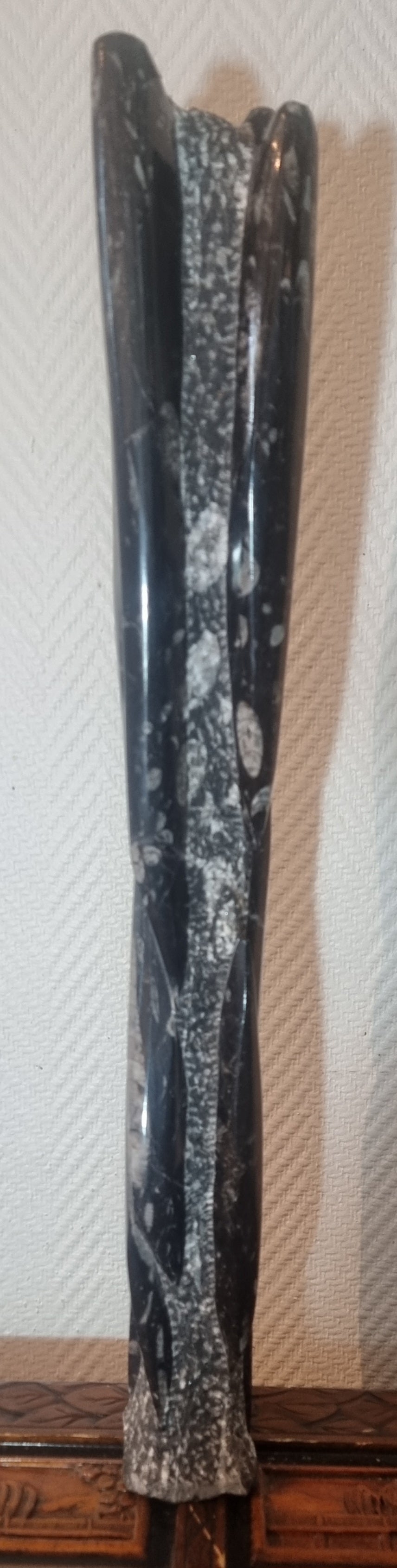 Orthoceras-søyle 62 cm – bilde 4 av 4