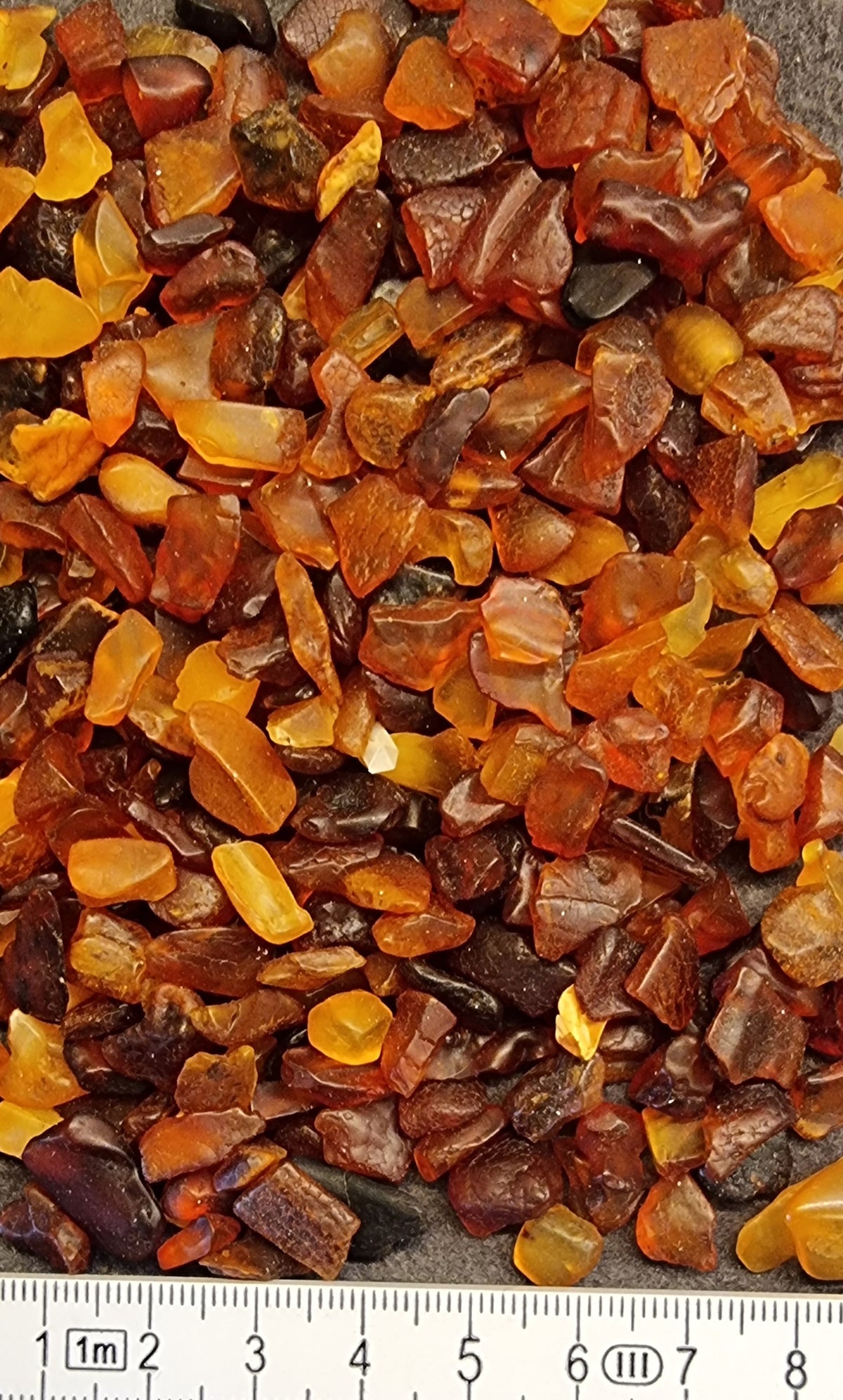Baltisk rav – råbiter fra Litauen