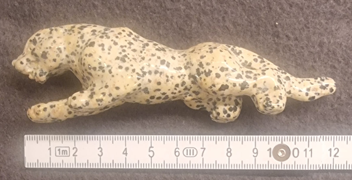 Gepard / stort kattedyr – Dalmatinerjaspis