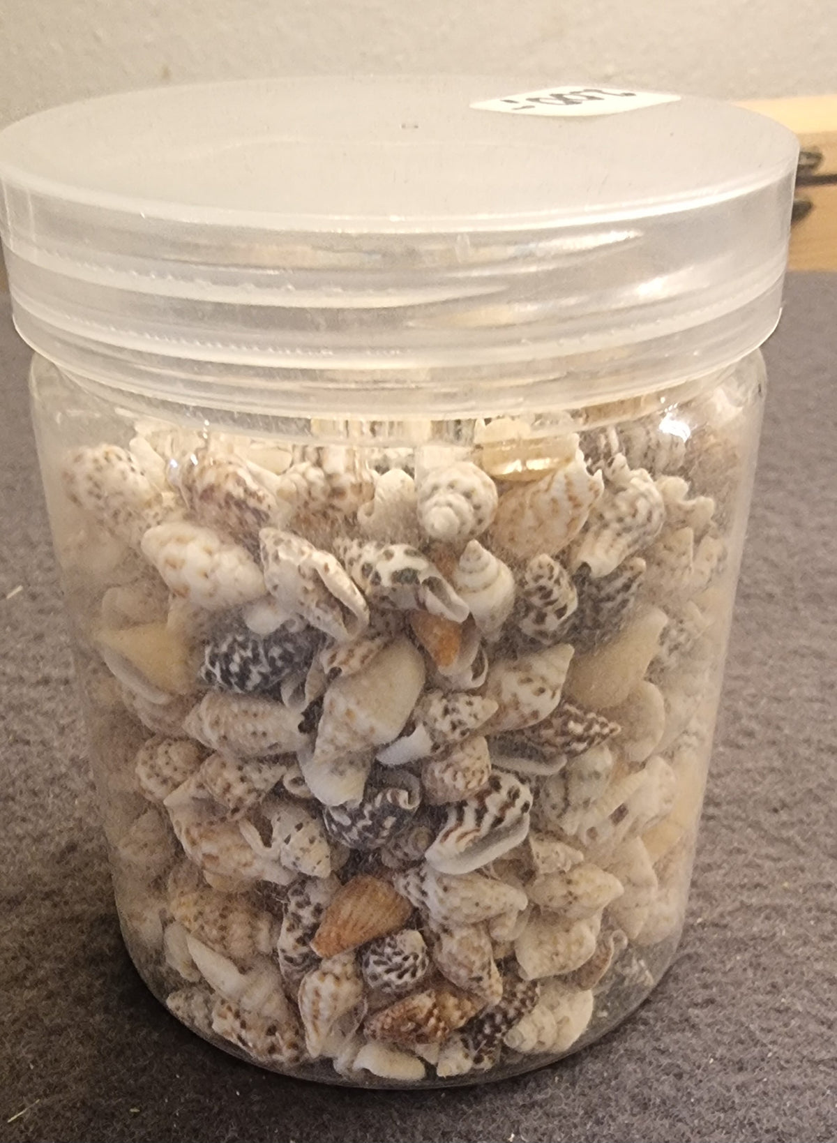 đ Boks med smĂ„ naturskjell â 8 Ă 6 cm