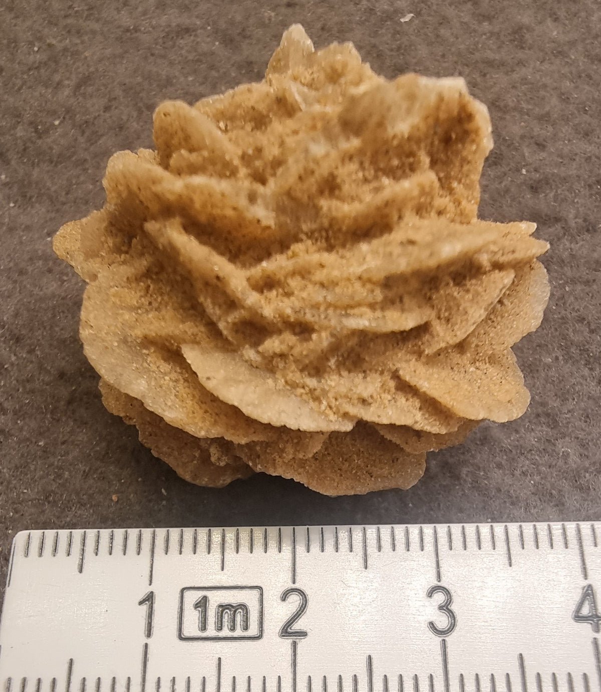 Ørkenrose – naturlig gipsrose