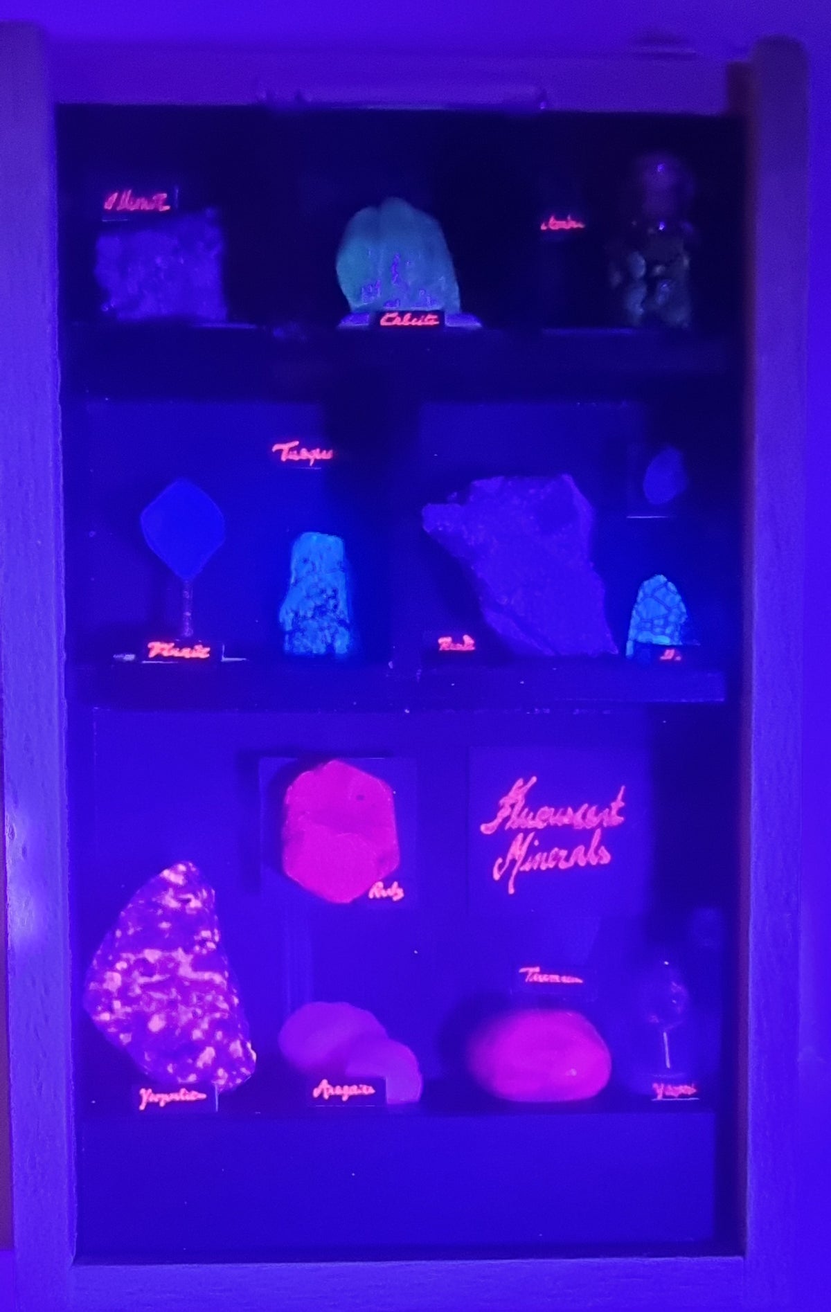 Fluorescerende mineralsamling i monter – med UV-belysning