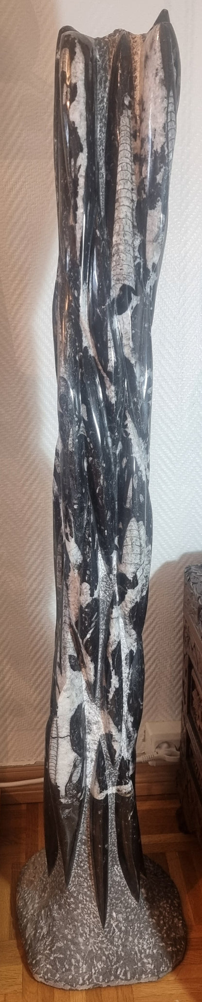 Orthoceras-søyle 116 cm