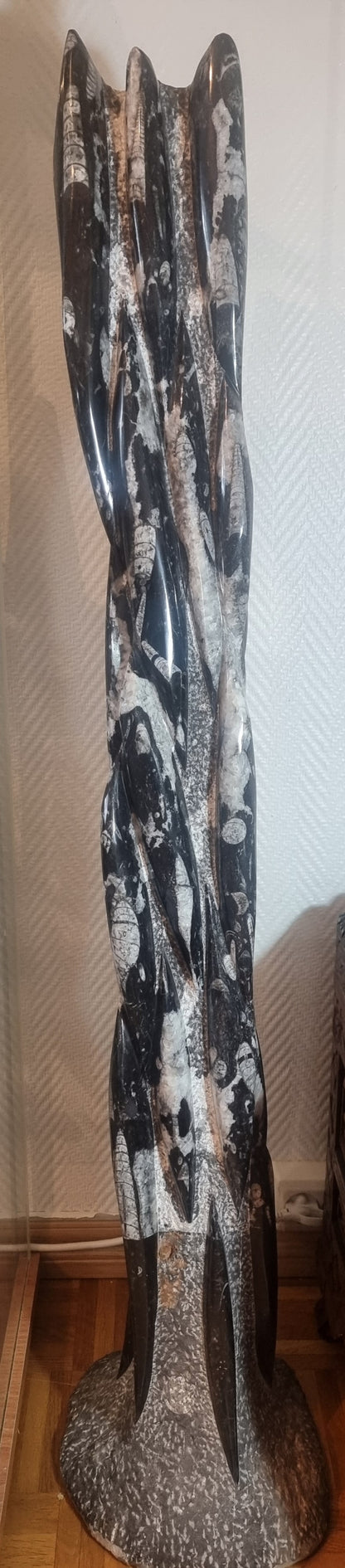 Orthoceras-søyle 116 cm – bilde 3 av 4