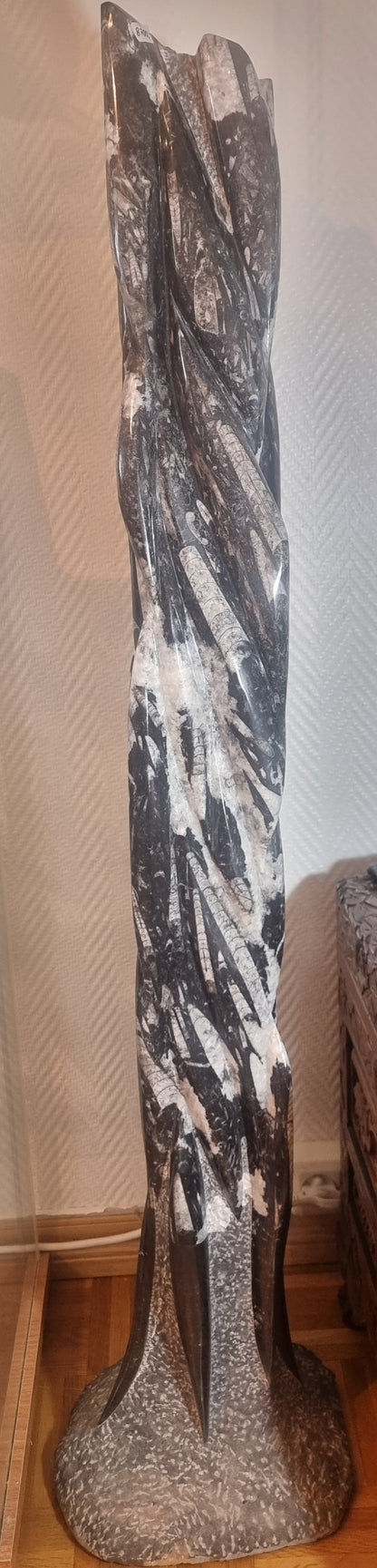 Orthoceras-søyle 116 cm – bilde 4 av 4