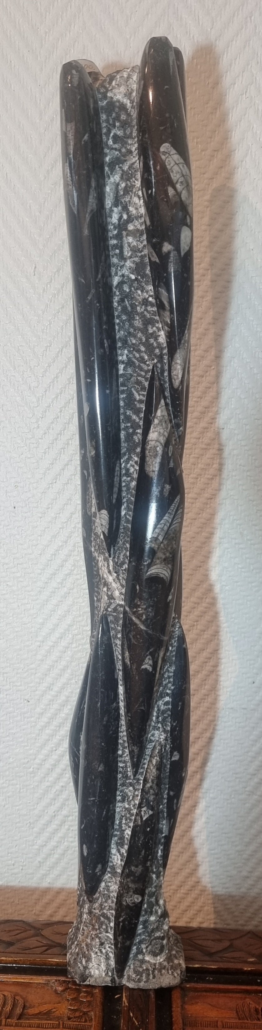 Orthoceras-søyle 62 cm