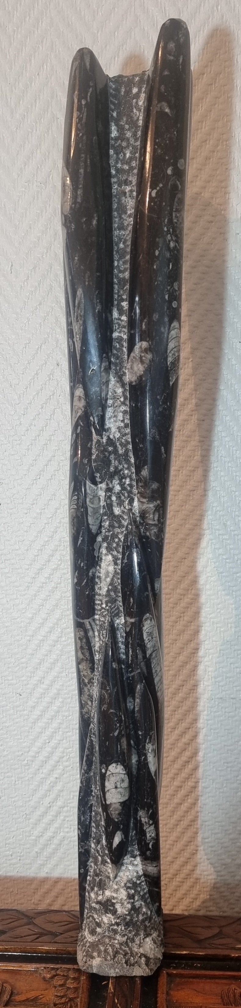 Orthoceras-søyle 62 cm – bilde 2 av 4