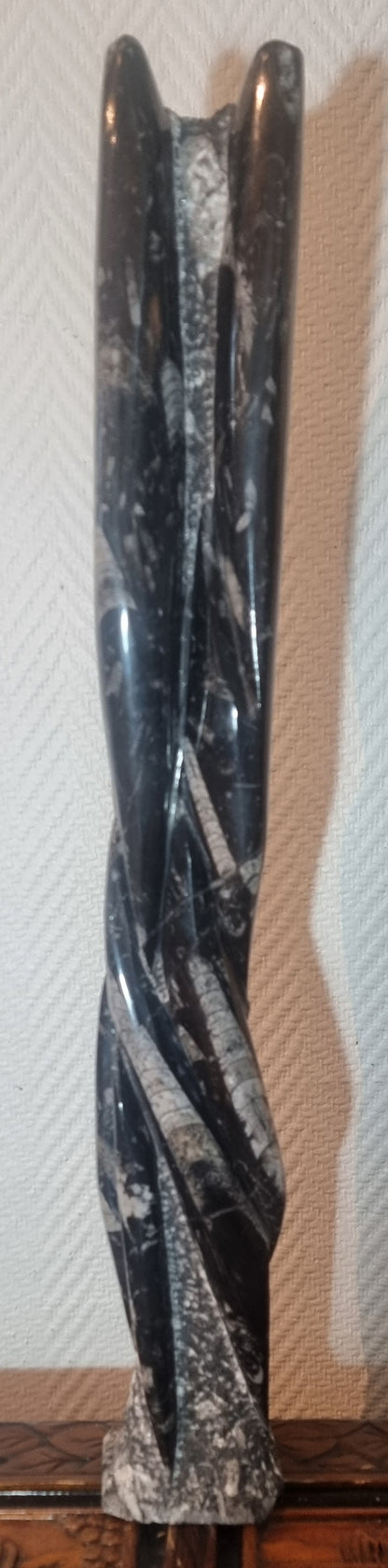 Orthoceras-søyle 62 cm – bilde 3 av 4