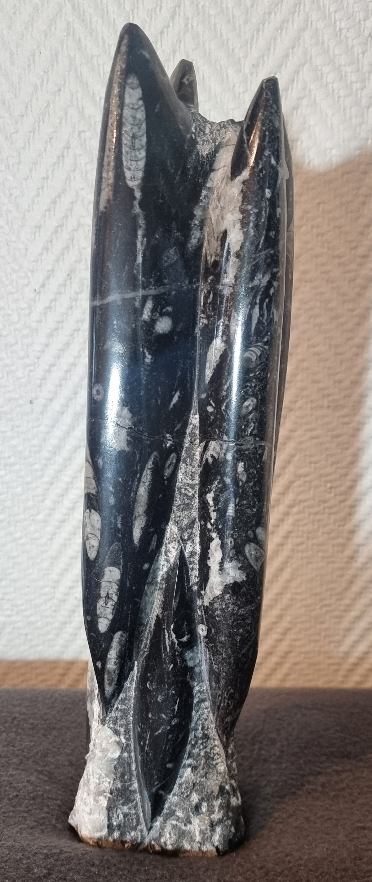Orthoceras-søyle 31 cm.