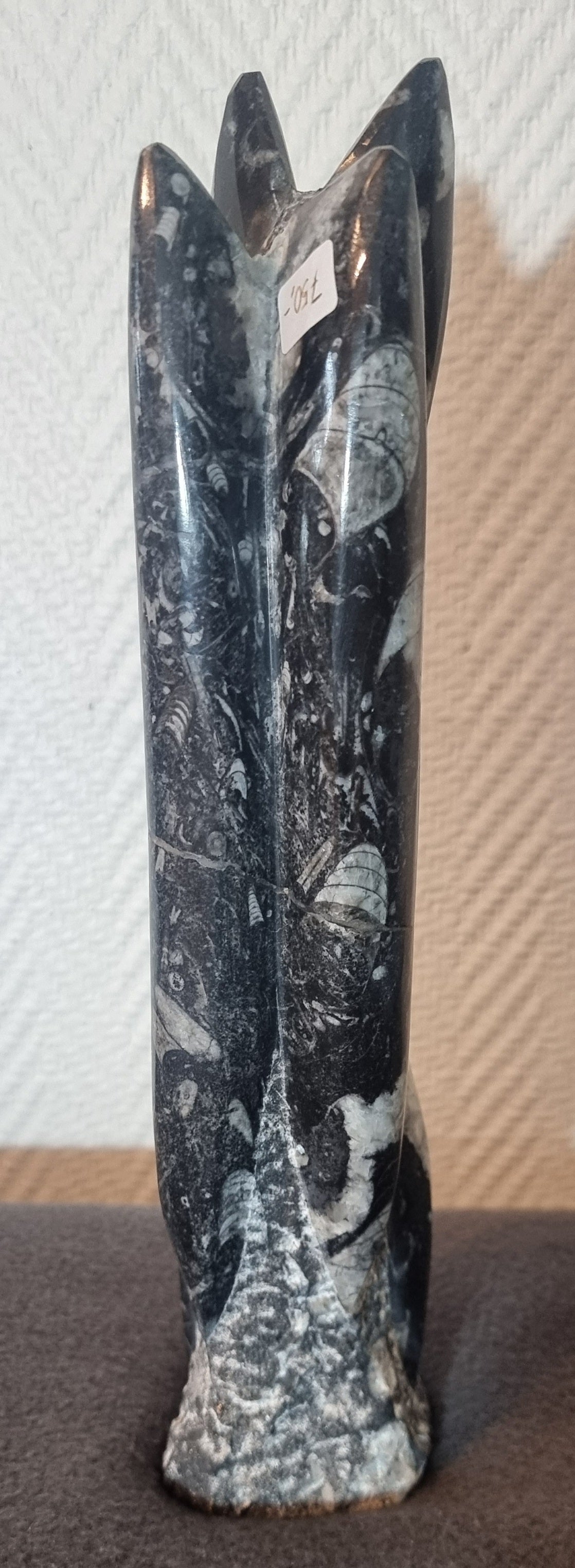Orthoceras-søyle 31 cm. – bilde 2 av 4