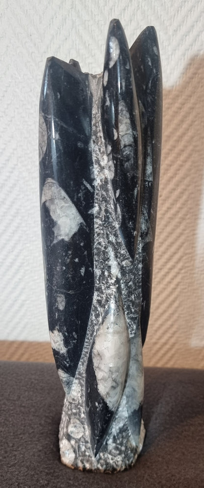 Orthoceras-søyle 31 cm. – bilde 3 av 4