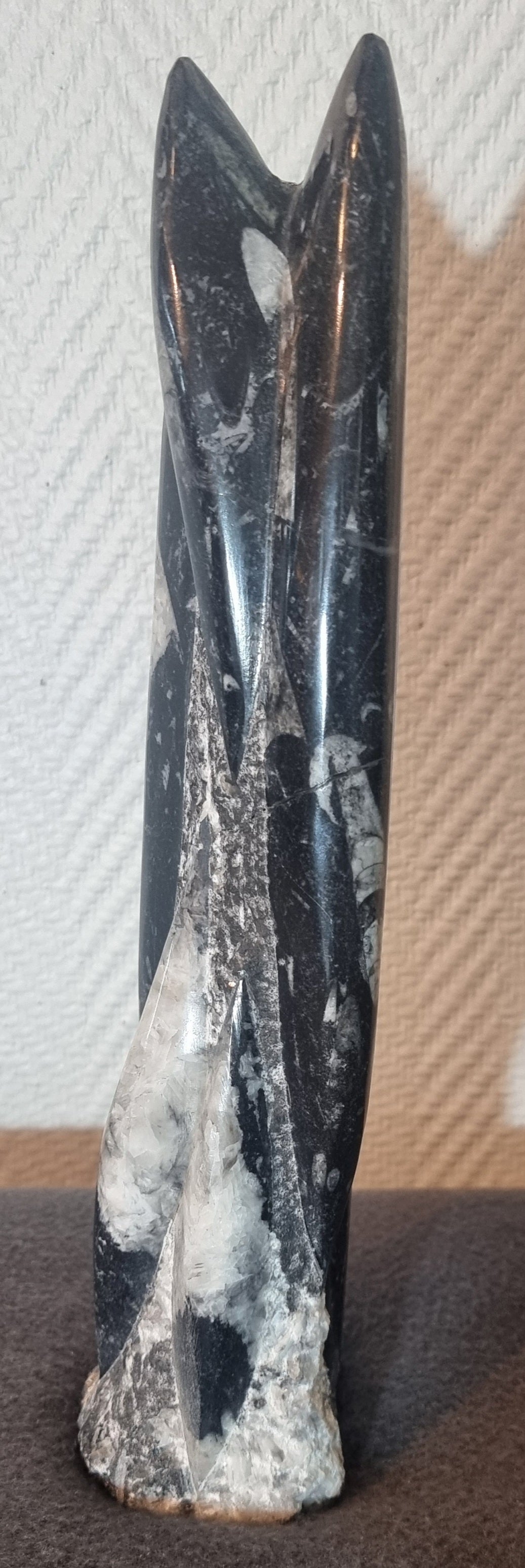 Orthoceras-søyle 31 cm. – bilde 4 av 4
