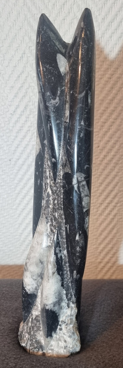 Orthoceras-søyle 31 cm. – bilde 4 av 4