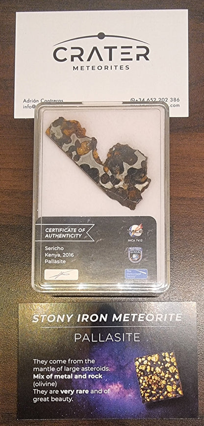 Sericho pallasitt – 10,6 g – bilde 2 av 2