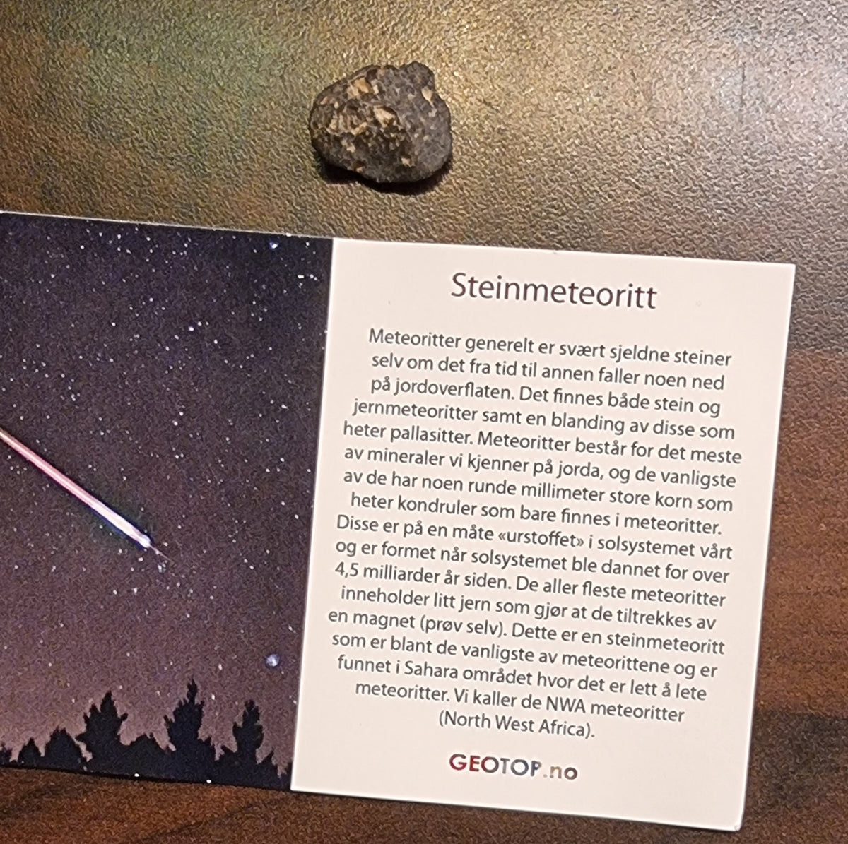 NWA steinmeteoritt – Sahara