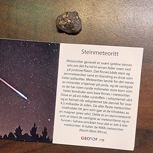 NWA steinmeteoritt – Sahara