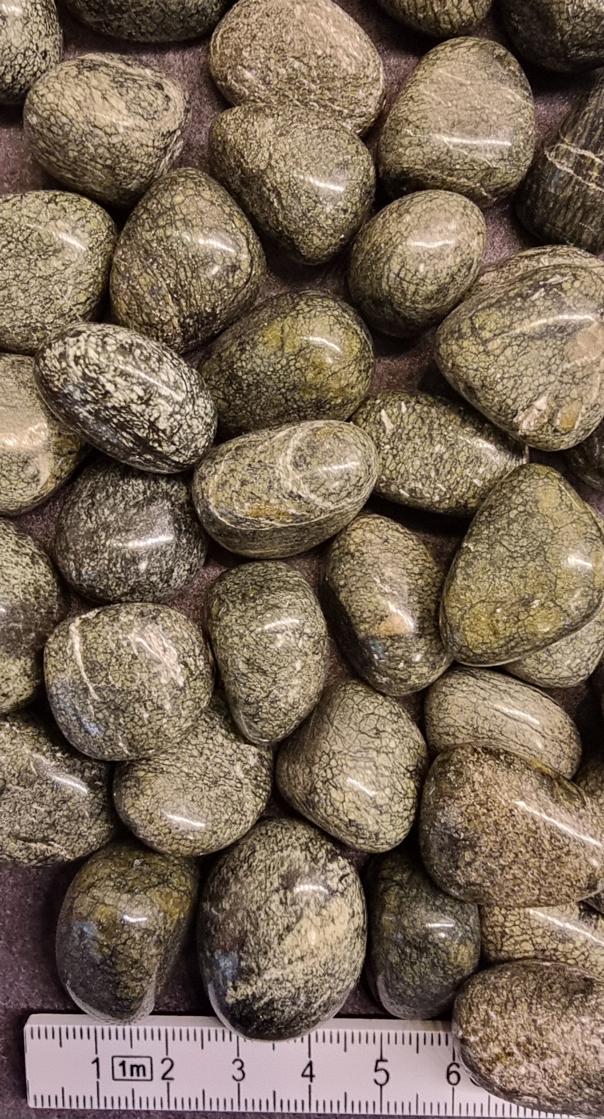SLANGESKINNSJASPIS