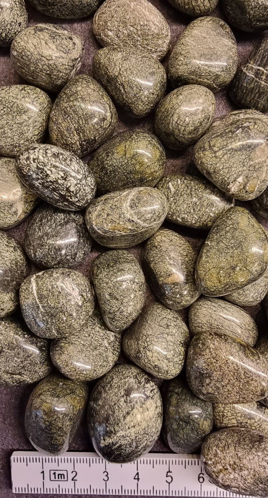 SLANGESKINNSJASPIS