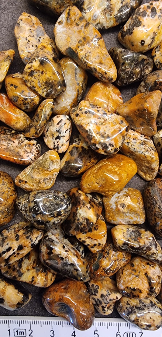 CHEETAH AGAT – TROMLET