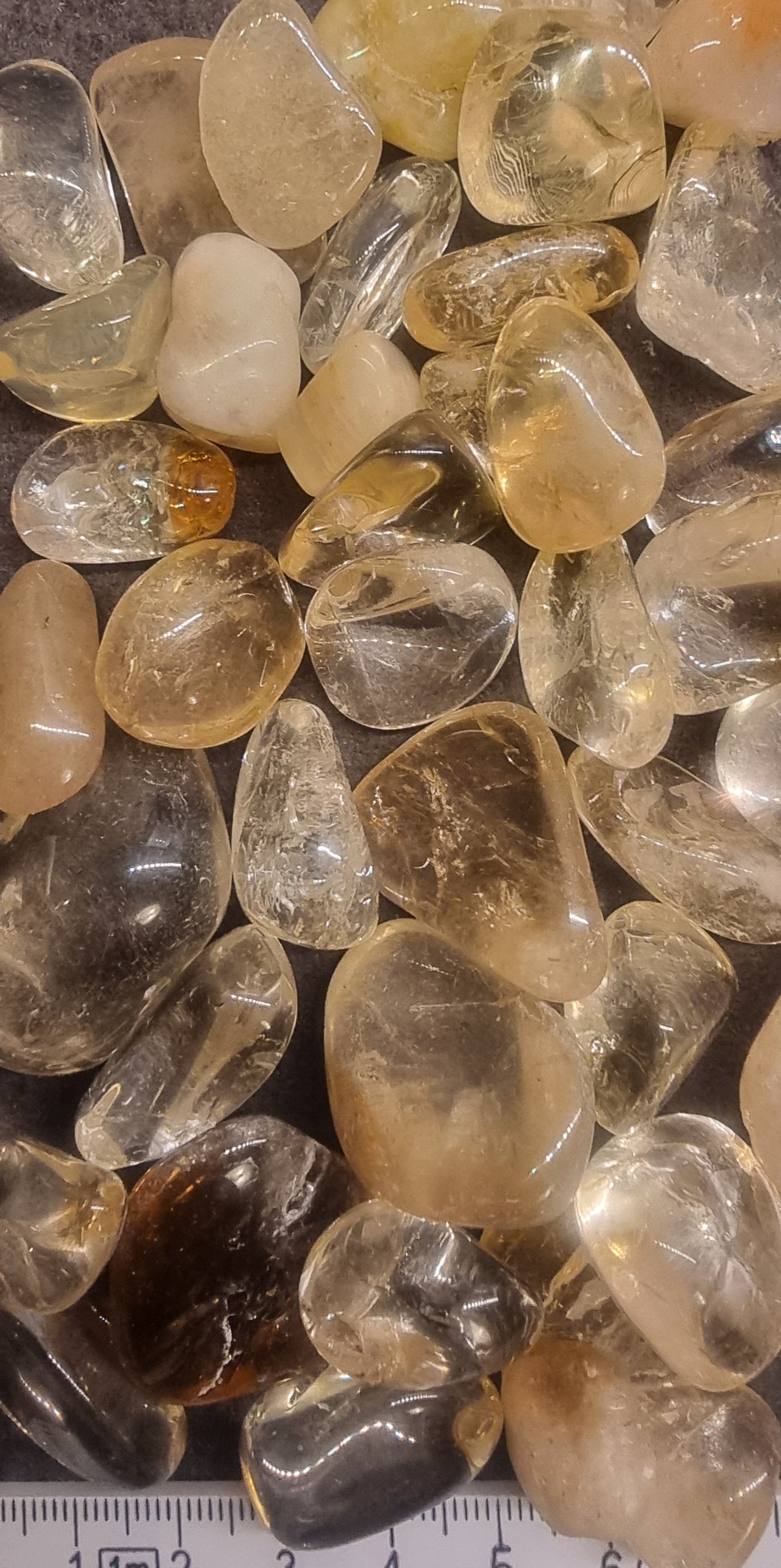 Citrin – Brasil – tromlet stein