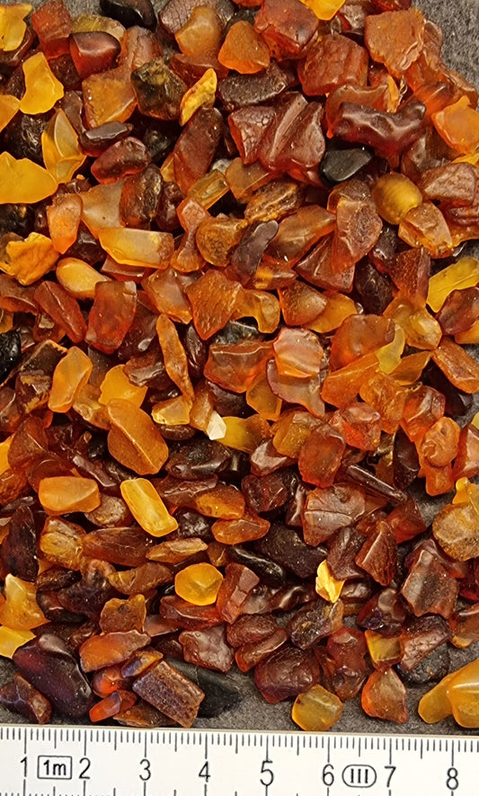 Baltisk rav – råbiter fra Litauen