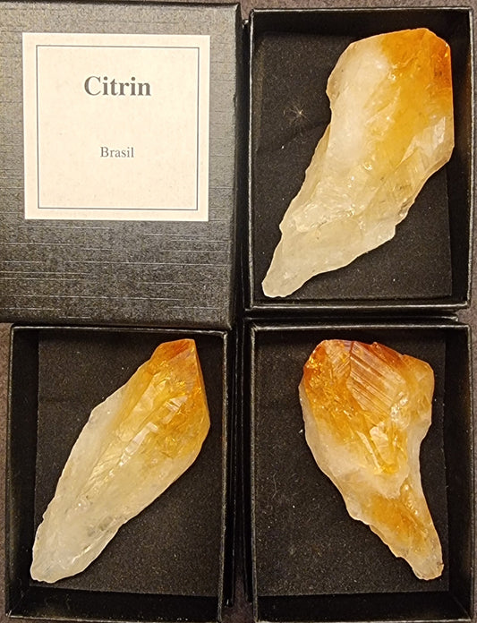 Citrin – Brasil