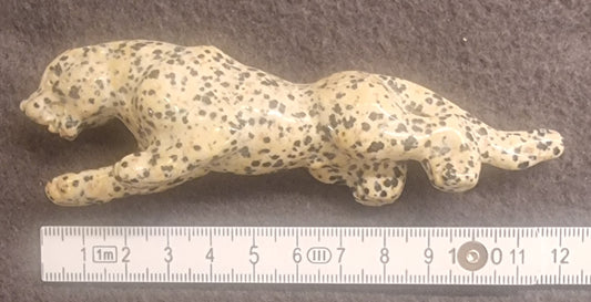 Gepard / stort kattedyr – Dalmatinerjaspis