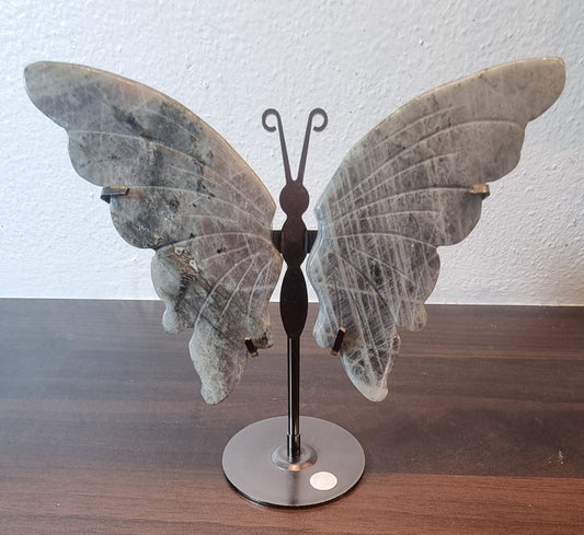 Sommerfugl – labradoritt