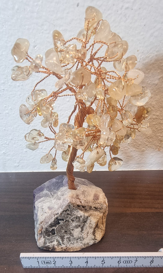 Citrintre / lyst kvartstre