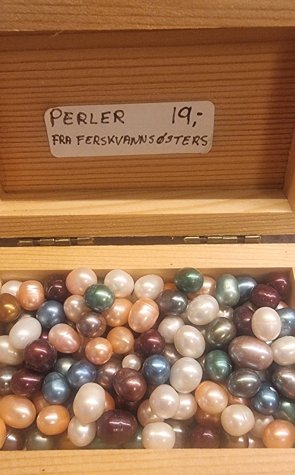 🦪 Ferskvannsperler – assorterte farger