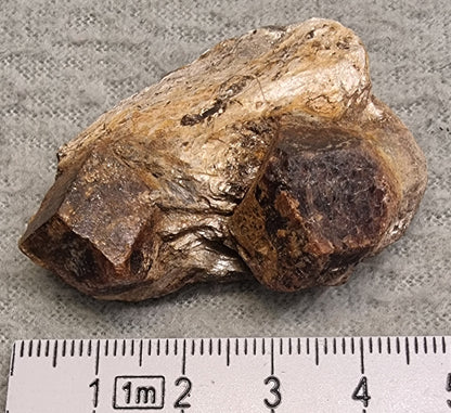 Granat i glimmer – rå mineralprøve