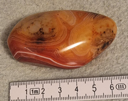 🧡 Crazy Lace Agate – Meksikansk blondeagat