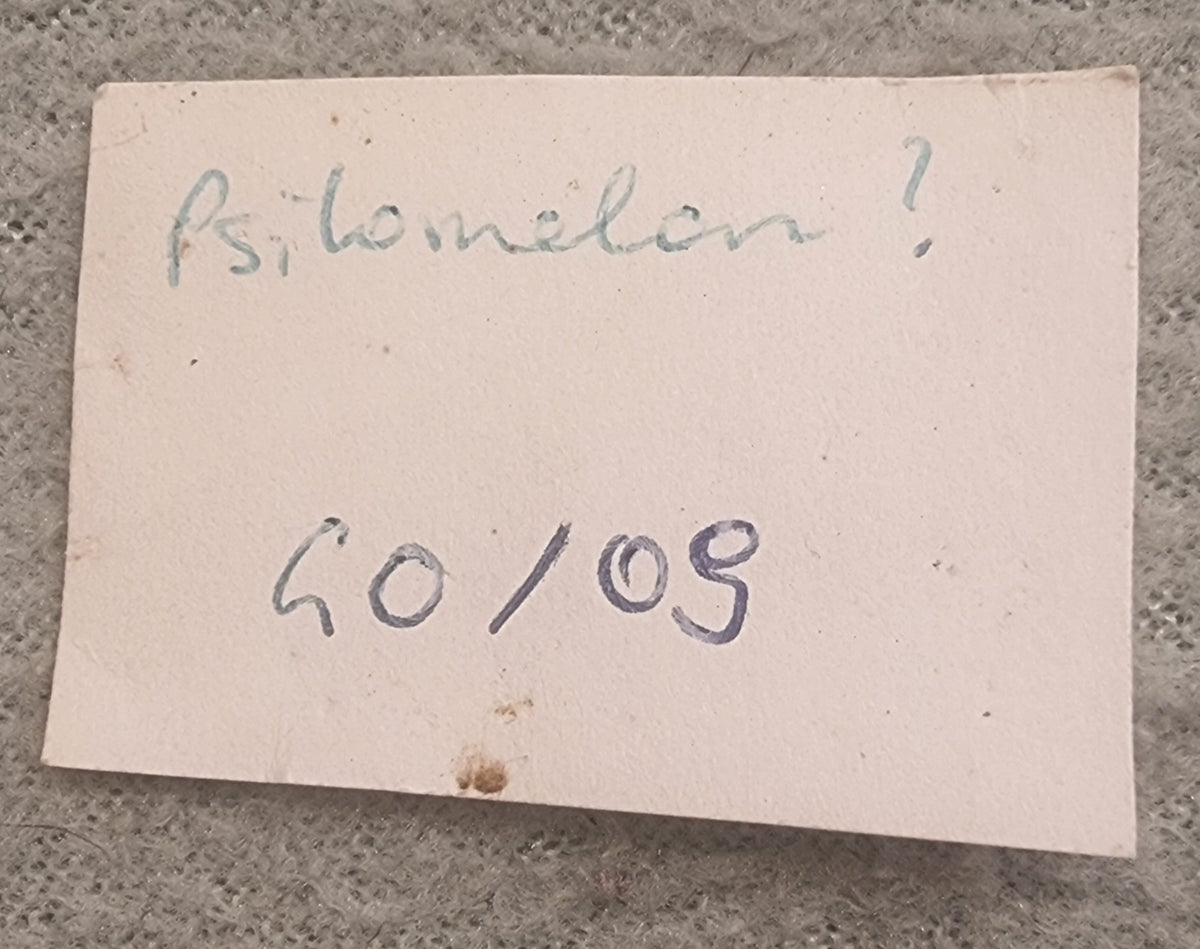 Psilomelan-type manganoksid – rå samlerstein