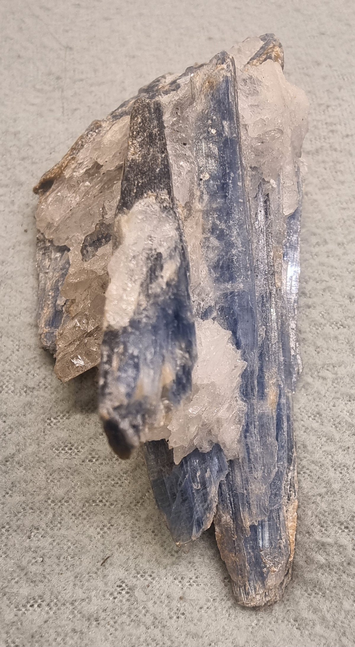 💎 Blå kyanitt i kvarts – stor naturlig samlerprøve