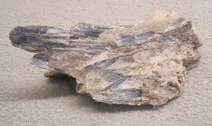 💎 Blå kyanitt i kvarts – stor naturlig samlerprøve