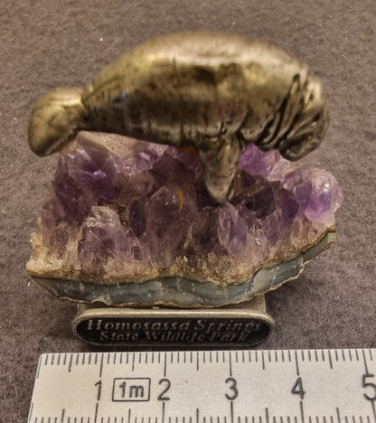 AMETYST MED MANATFIGUR – HOMOSASSA SPRINGS, FLORIDA