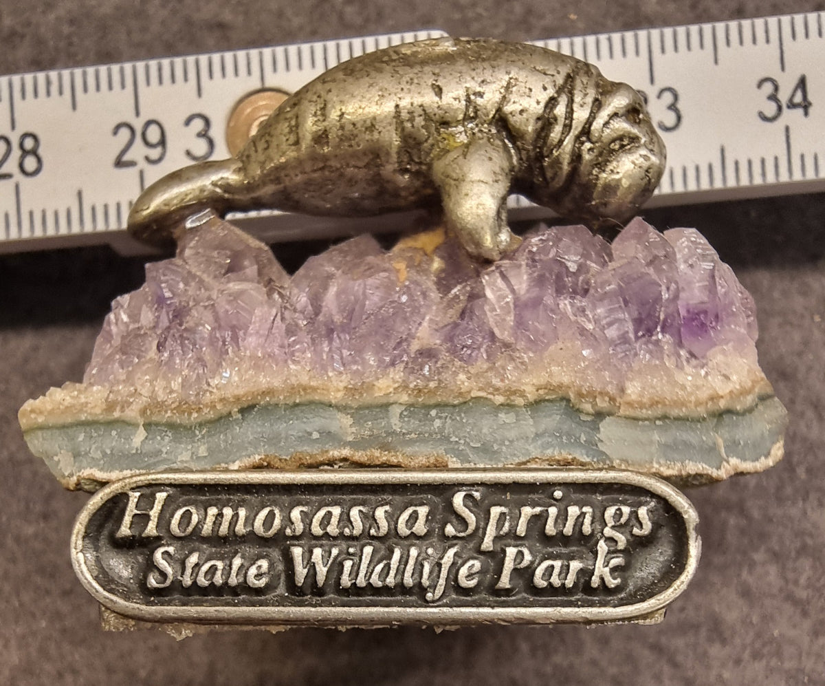 AMETYST MED MANATFIGUR – HOMOSASSA SPRINGS, FLORIDA