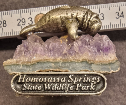 AMETYST MED MANATFIGUR – HOMOSASSA SPRINGS, FLORIDA