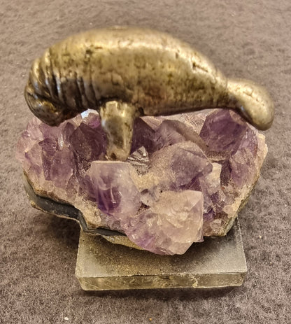 AMETYST MED MANATFIGUR – HOMOSASSA SPRINGS, FLORIDA