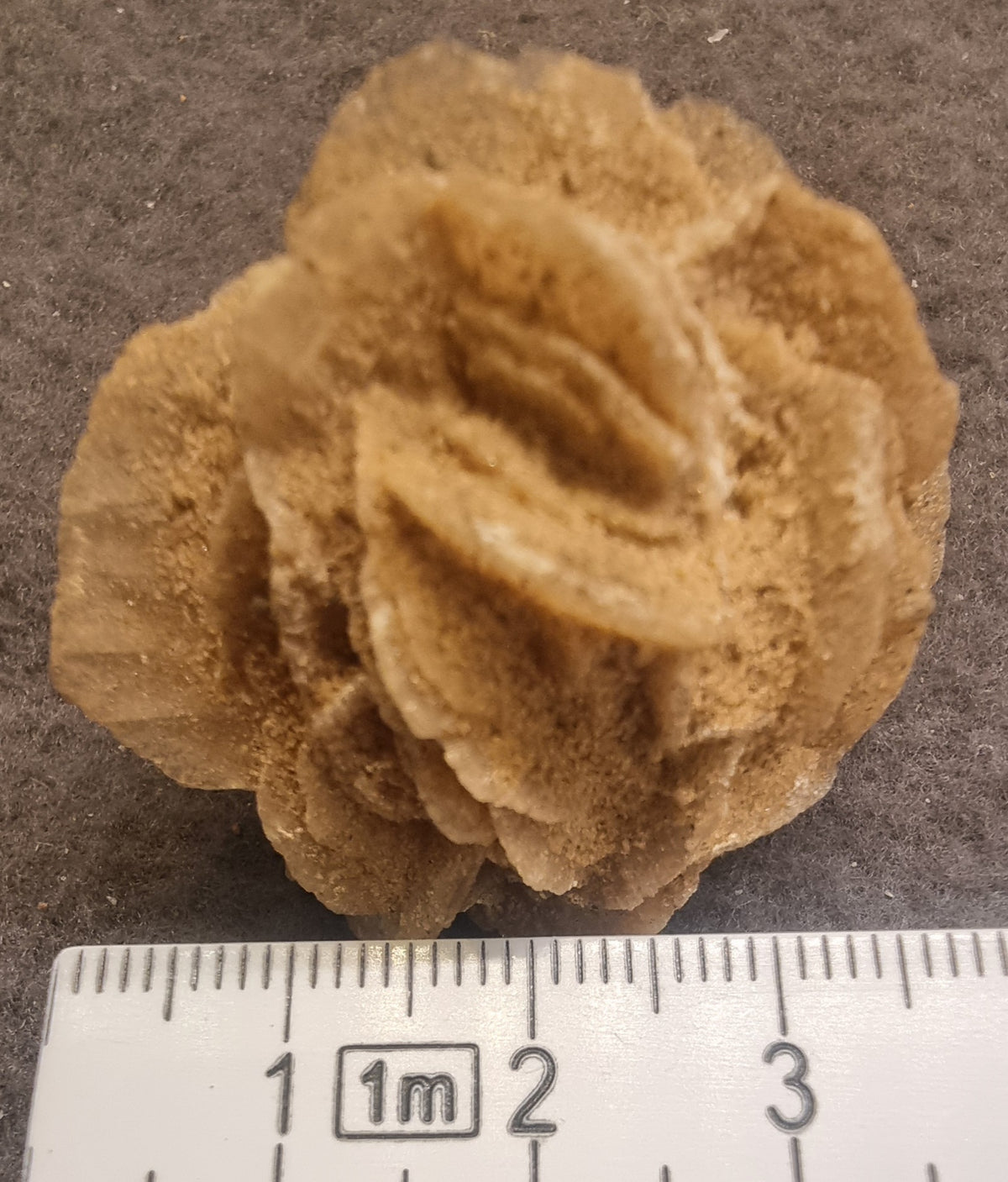 Ørkenrose – naturlig gipsrose
