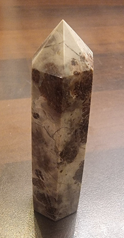 Fossilkorall tårn – ca. 6–7 cm