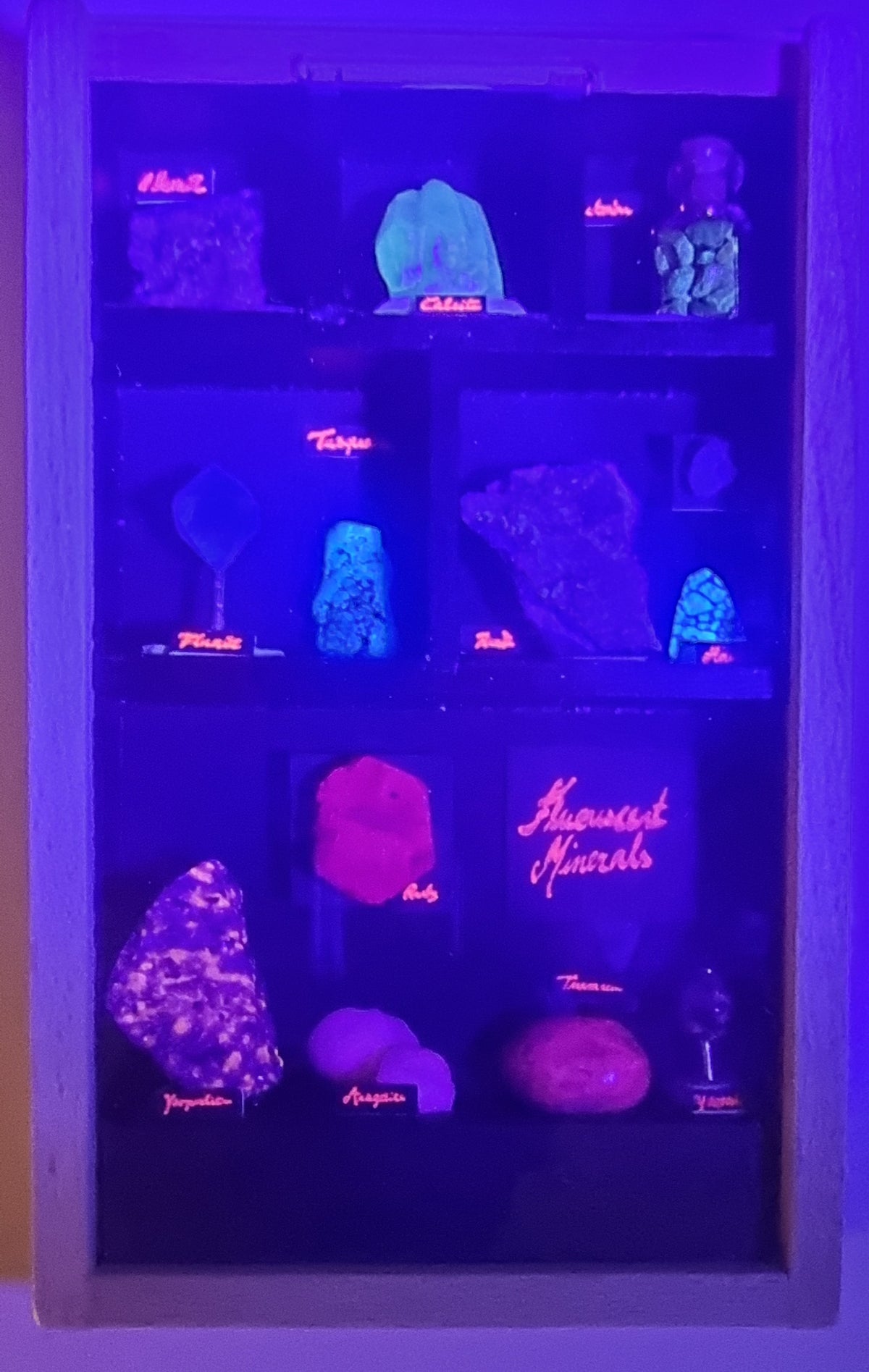 Fluorescerende mineralsamling i monter – med UV-belysning