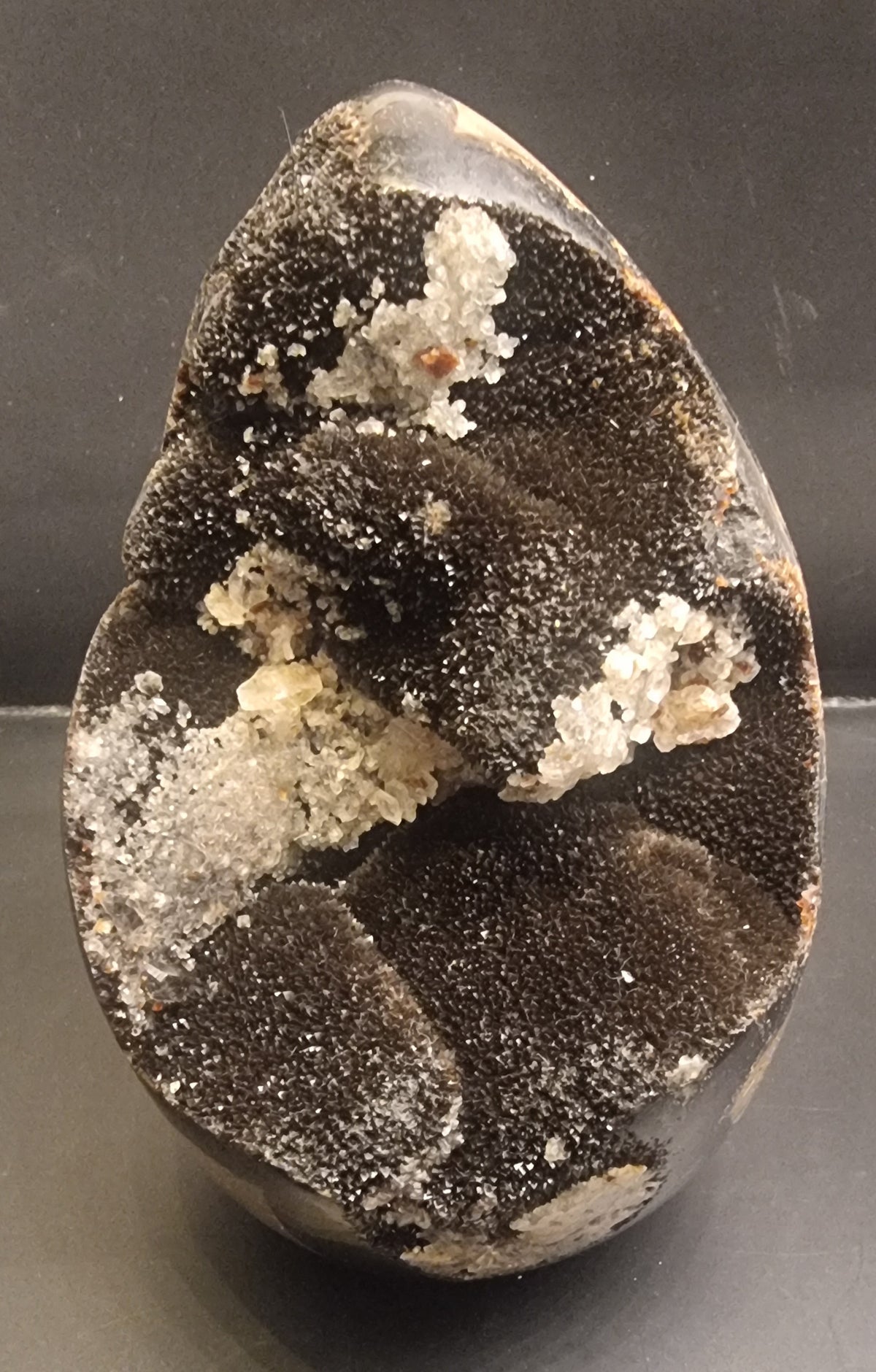 Septarie med mørk druzy og kalsittkrystaller – 1,05 kg