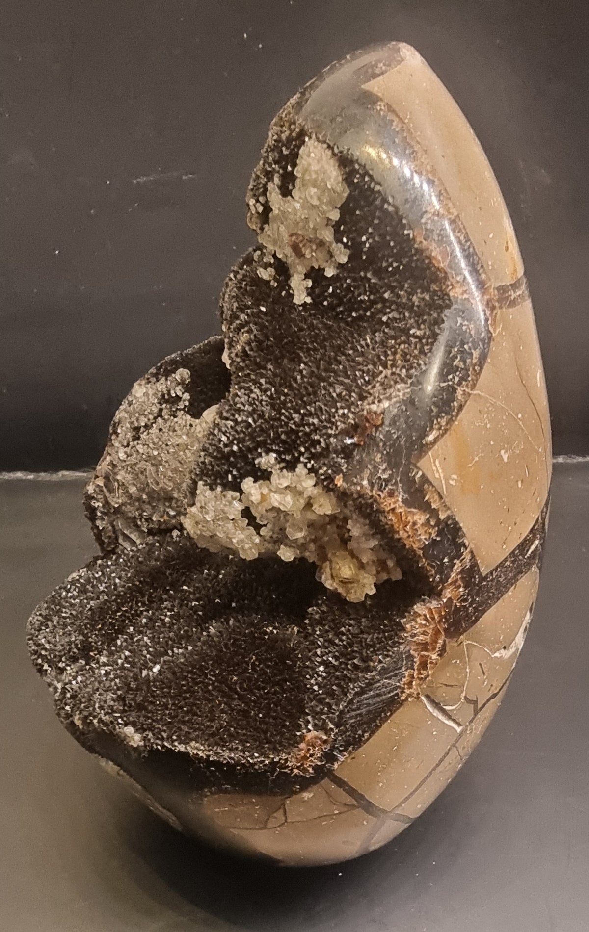 Septarie med mørk druzy og kalsittkrystaller – 1,05 kg
