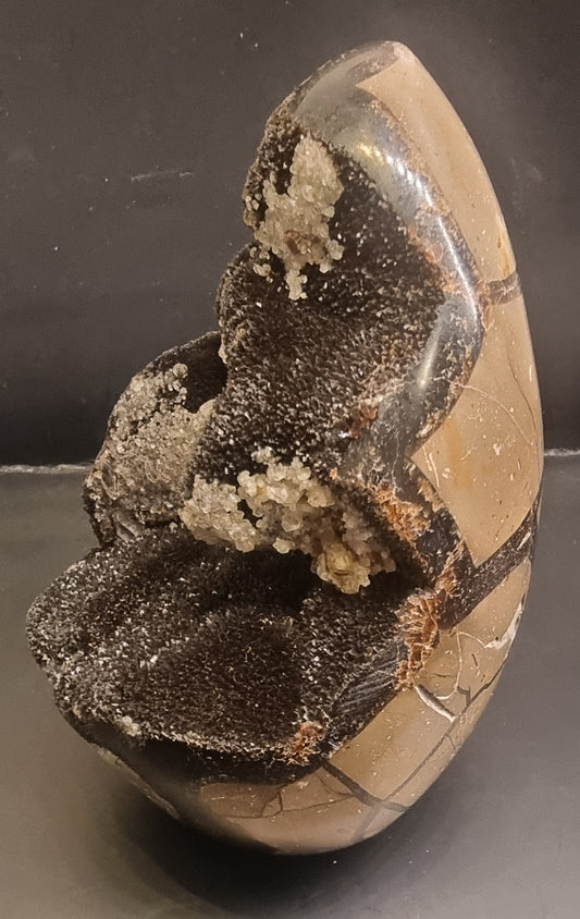 Septarie med mørk druzy og kalsittkrystaller – 1,05 kg