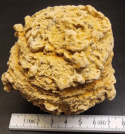 BARYTTROSE – TYSKLAND – 448 G
